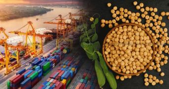Union Government has extended the duty-free import of yellow peas and black gram until March 2027
